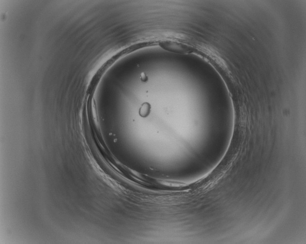 X0000069790936200605221111