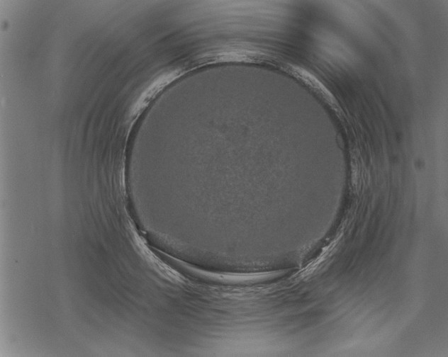 X0000069790938200605221111