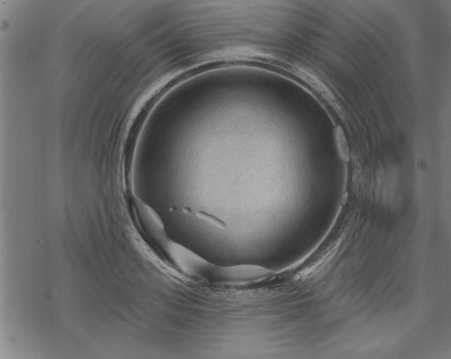 X0000069790939200605221111