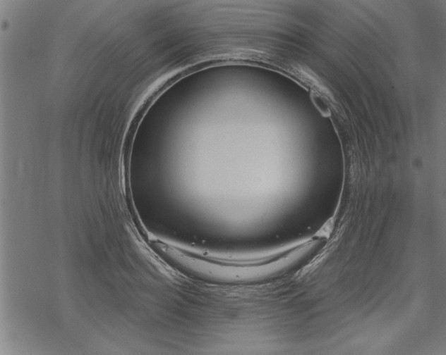 X0000069790940200605221111