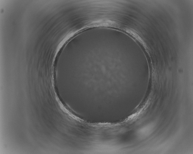 X0000069790941200605221111