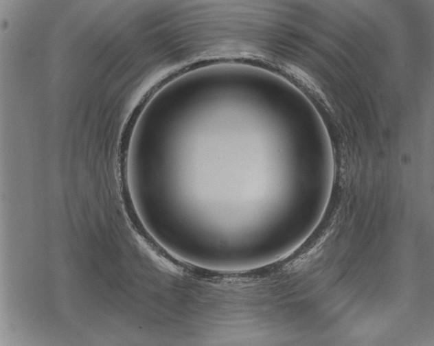 X0000069790942200605221111