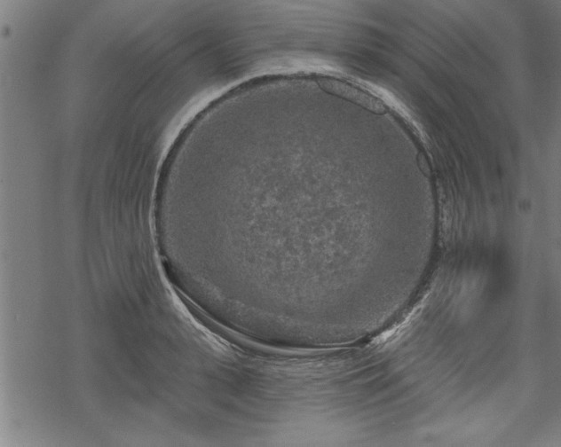 X0000069790943200605221111