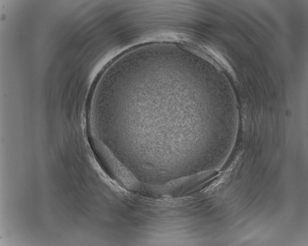 X0000069790944200605221111