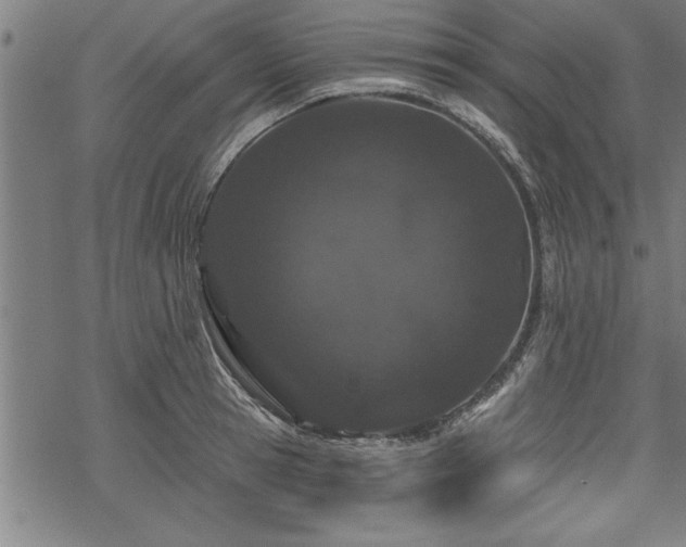 X0000069790945200605221111