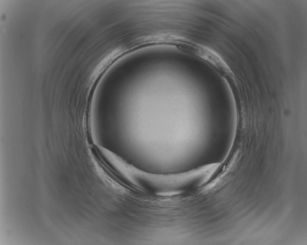 X0000069790946200605221111