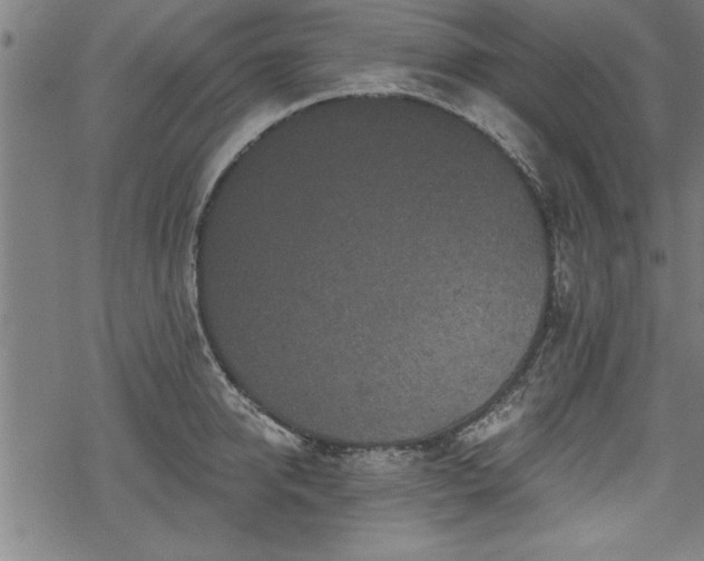 X0000069790950200605221111