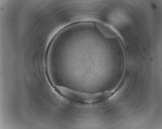 X0000069790951200605221111