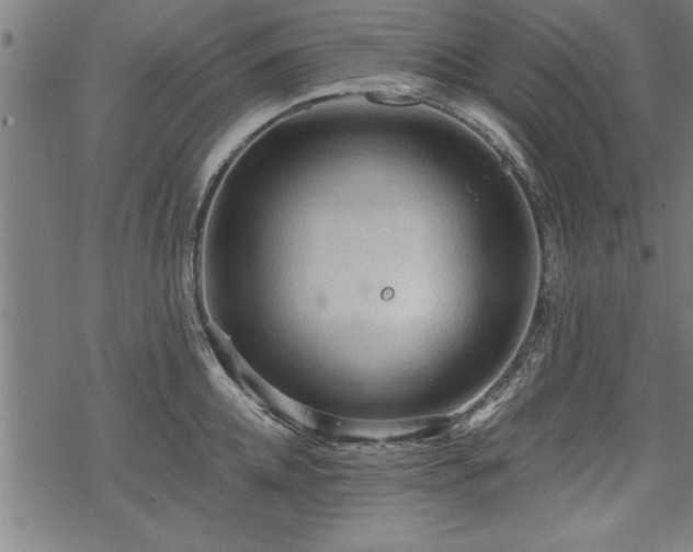 X0000069790952200605221111