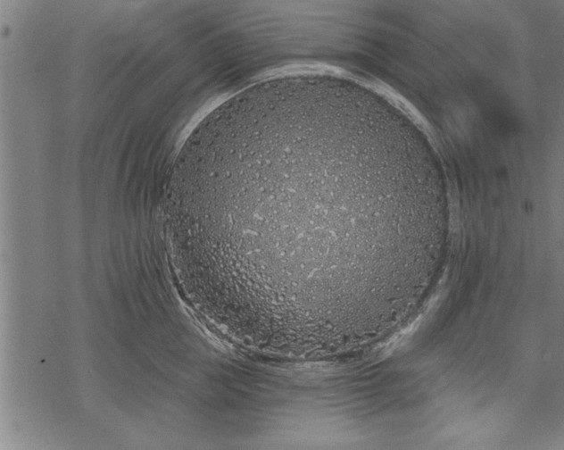 X0000069790953200605221111