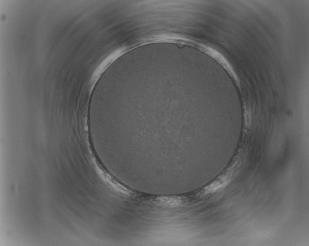 X0000069790954200605221111