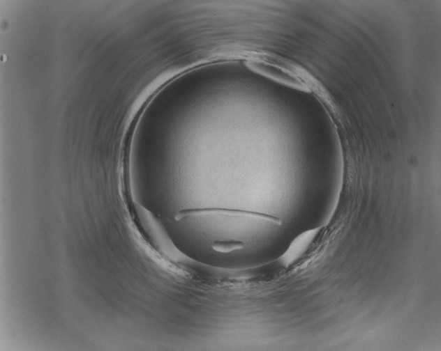 X0000069790955200605221111