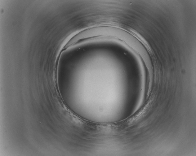 X0000069790956200605221111