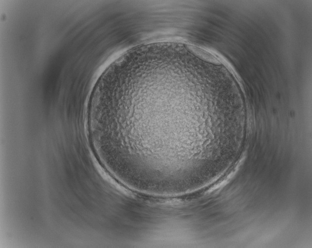 X0000069790957200605221111