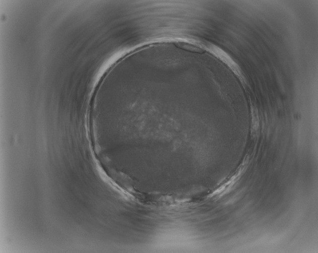 X0000069790958200605221111