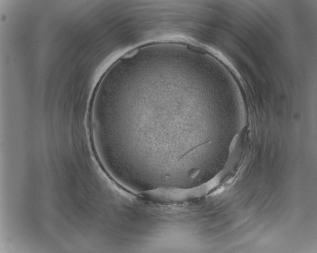 X0000069790959200605221111