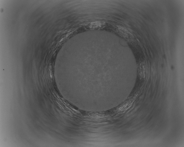 X0000069790962200605221110