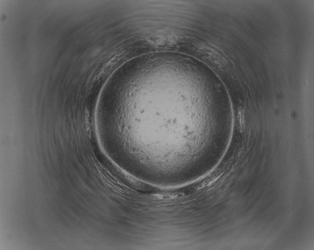 X0000069790963200605221110