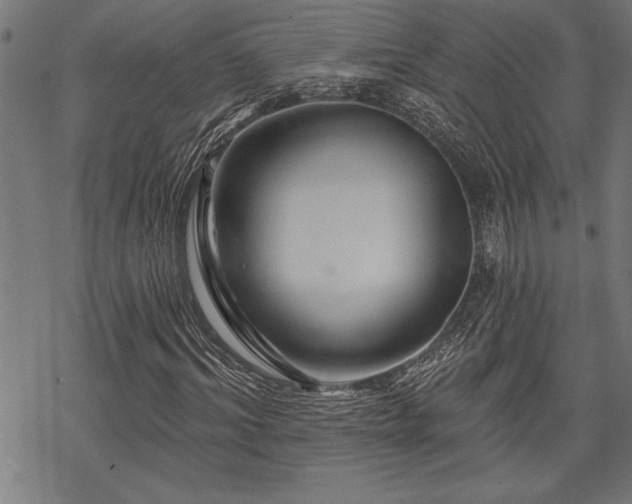 X0000069790964200605221110