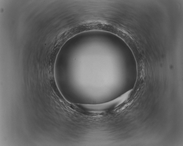 X0000069790965200605221110