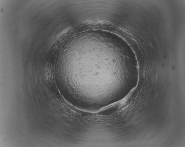 X0000069790966200605221110