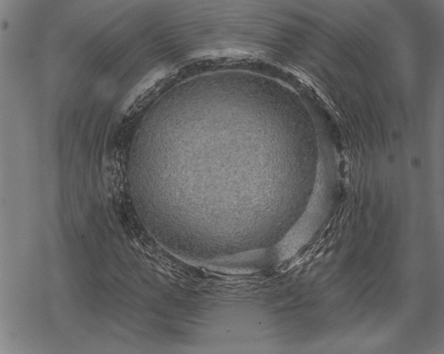 X0000069790967200605221110