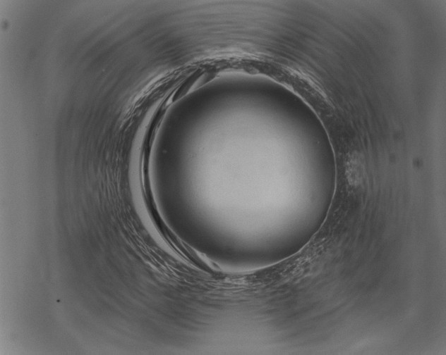 X0000069790968200605221110