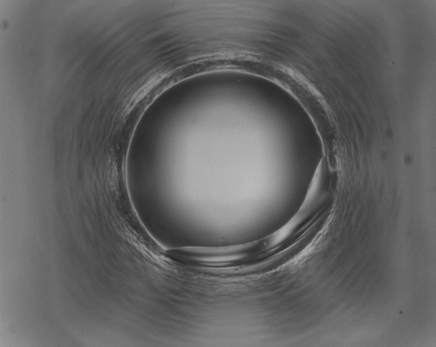 X0000069790969200605221110