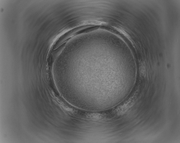 X0000069790971200605221110