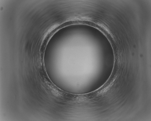 X0000069790974200605221110