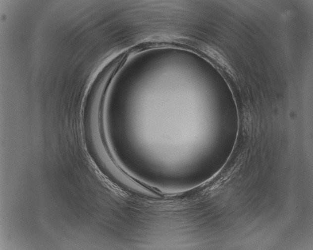 X0000069790976200605221110