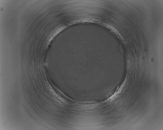 X0000069790977200605221110