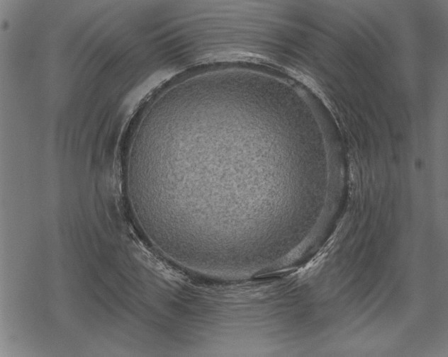 X0000069790979200605221110