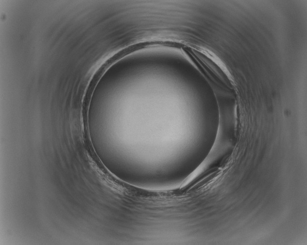 X0000069790980200605221110