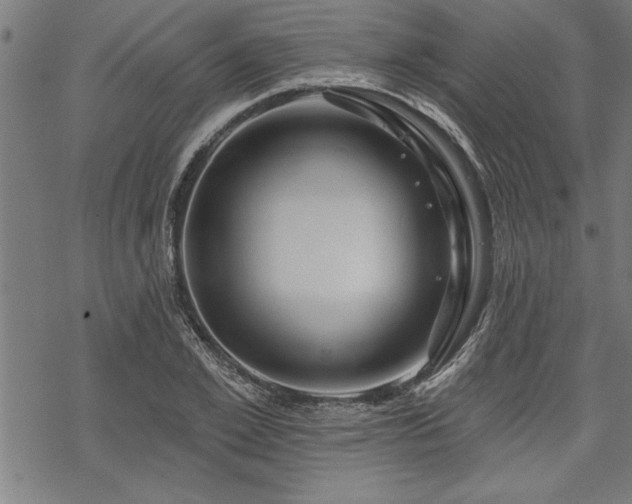 X0000069790981200605221110