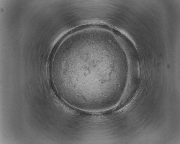 X0000069790983200605221110