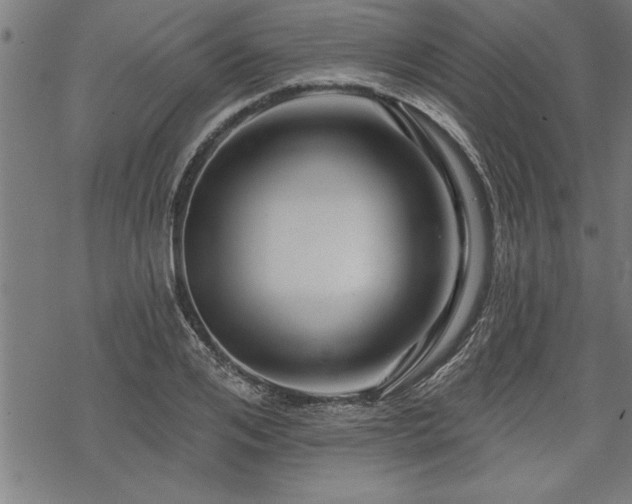 X0000069790984200605221110