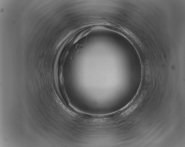 X0000069790985200605221110