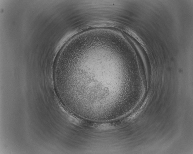 X0000069790986200605221110