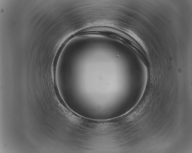 X0000069790988200605221110