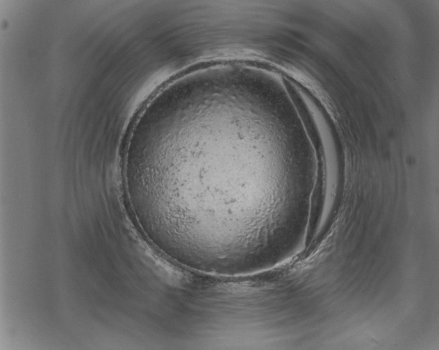 X0000069790990200605221110