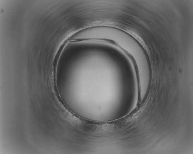 X0000069790992200605221110