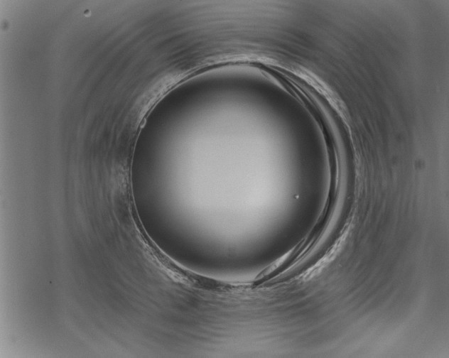 X0000069790993200605221110