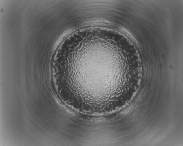 X0000069790994200605221110