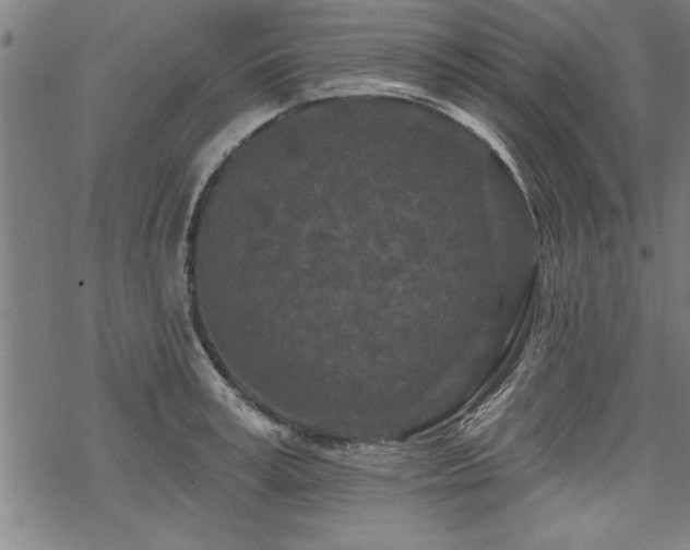 X0000069790995200605221110