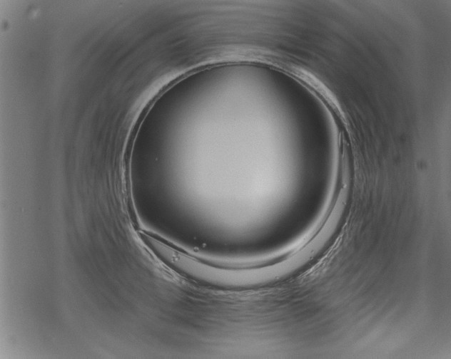 X0000069790996200605221110