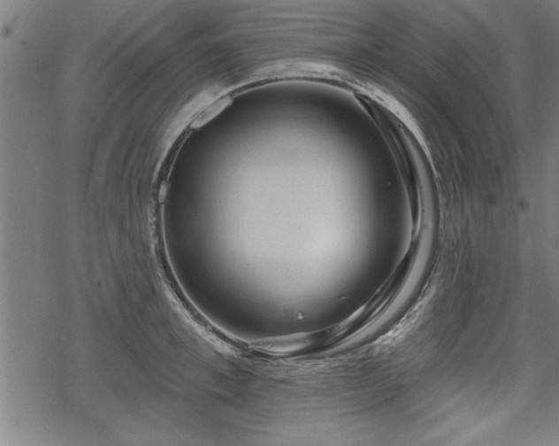 X0000069790997200605221110