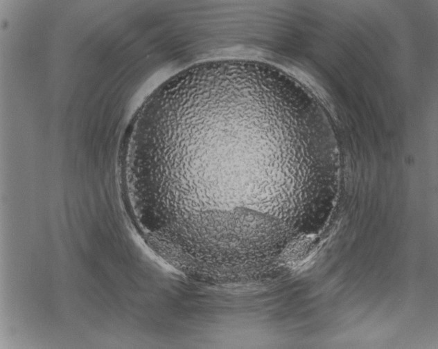 X0000069790998200605221110