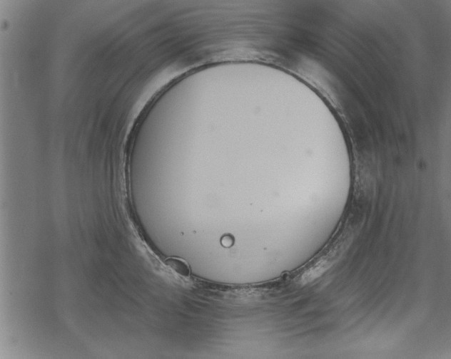 X0000069791000200605221110