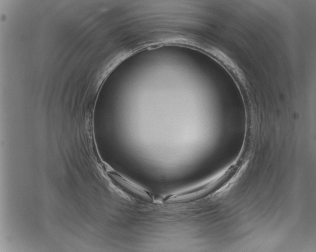 X0000069791001200605221110